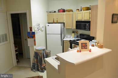 13070 Autumn Woods Way unit 303, Fairfax, VA 22033 - photo 6