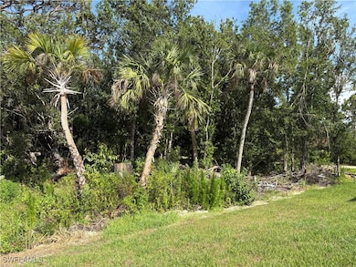 View of undeveloped land
