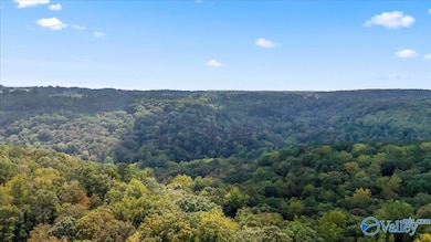 572 McDermont Rd, Union Grove, AL 35175 - photo 3