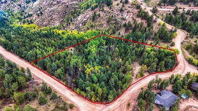 599 Dandy Jim Dr, Cripple Creek, CO 80813 - photo 3