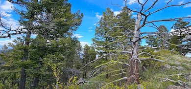View of landscape