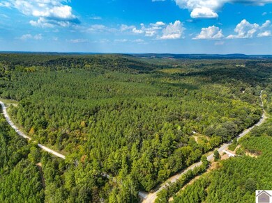 000 Cedar Grove Rd unit (Livingston Co. KY 9, Salem, KY 42078 - photo 2