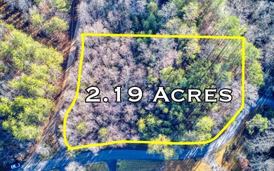 LT 41 Fish Trap Point, Mineral Bluff, GA 30559 - photo 2