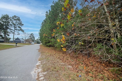 861 Roberts Rd, Newport, NC 28570 - photo 2