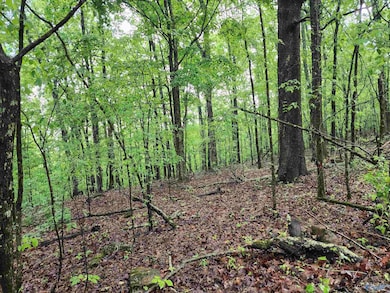 Lot 0 Huskey Mountain Rd, Laceys Spring, AL 35754 - photo 6