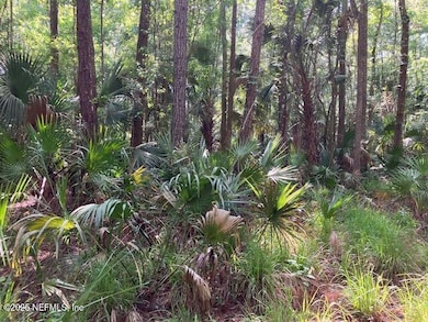 0220 Little Branch Tr, Interlachen, FL 32148 - photo 4