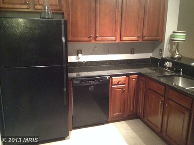 41984 Blue Flag Terrace unit 46, Stone Ridge, VA 20105 - photo 6