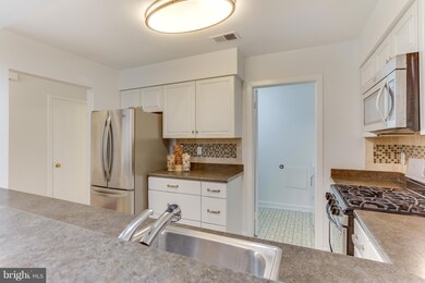 3727B Madison Ln, Falls Church, VA 22041 - photo 7