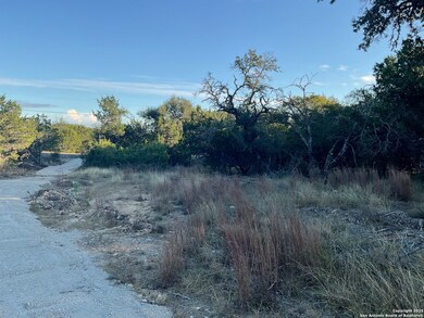 113 Champion Way, Spring Branch, TX 78070 - photo 4