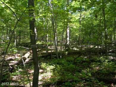 0 Back Rd unit 1003917327, Strasburg, VA 22657 - photo 5