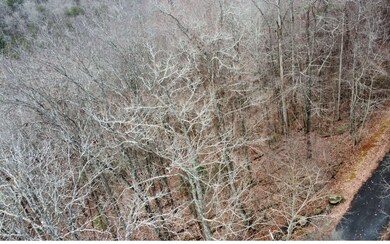 6 Morgan Ridge Ct, Young Harris, GA 30582 - photo 7