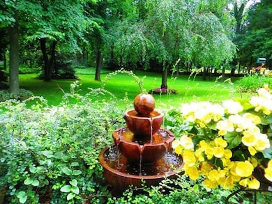 Yard/Garden