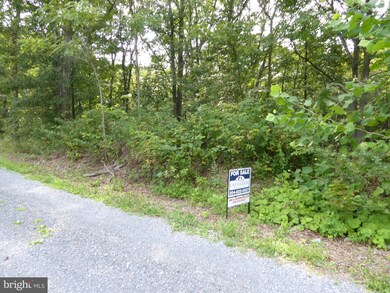 1112 Off I L Pugh Rd, Bloomery, WV 26817 - photo 4