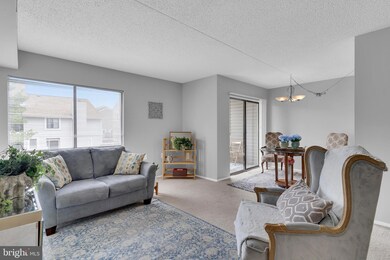 8606D Village Way, Alexandria, VA 22309 - photo 6