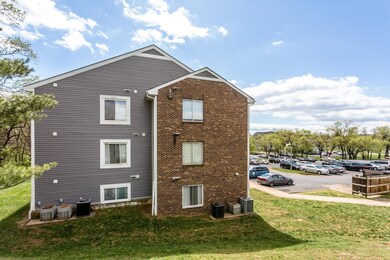 60 South Ave unit D, Harrisonburg, VA 22801 - photo 2