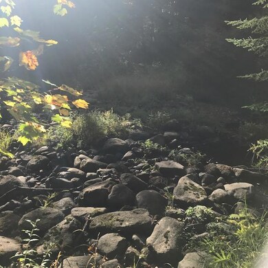 road path