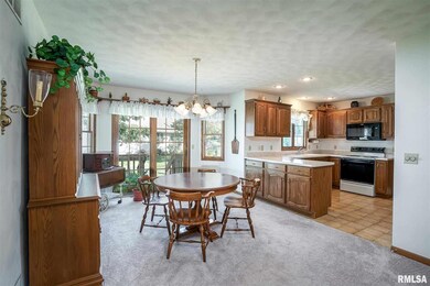 1010 W 46th St, Davenport, IA 52806 - photo 5