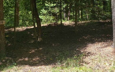 Additional View