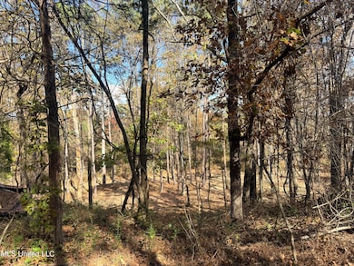 0 Laws Hill Rd unit 4133415, Holly Springs, MS 38635 - photo 6