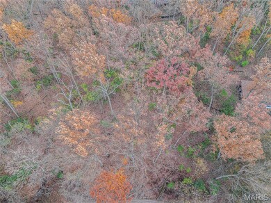 44 Mombert Dr, Manchester, MO 63021 - photo 4