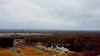 LOT 2 Coal Mountain Rd, El Paso, AR 72045 - photo 3