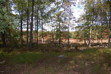 107 Buckboard Ln, Hawley, PA 18428 - photo 6