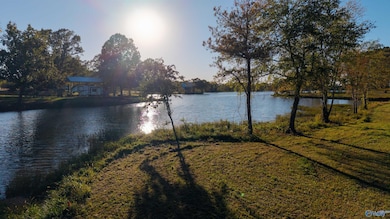Lot 30 County Road 115, Cedar Bluff, AL 35959 - photo 3