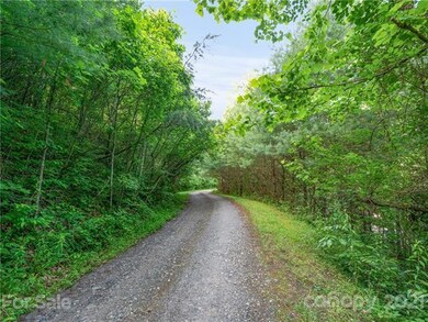 79 Mount Airy Rd, Marshall, NC 28753 - photo 4