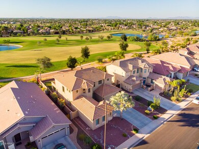02-Birdie Aerials