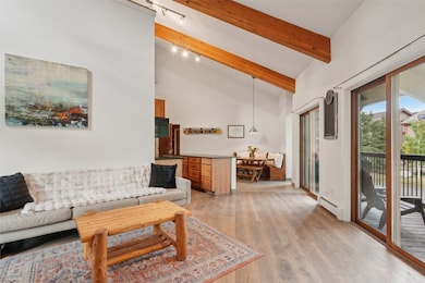 601 Galena St unit C, Frisco, CO 80443 - photo 4