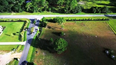 0 Ranch Gate Blvd unit MFRO6343065, Umatilla, FL 32784 - photo 3