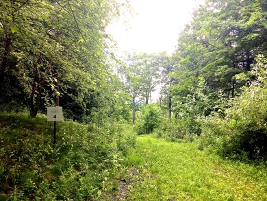 unlisted-address, Great Barrington, MA 01230 - photo 5