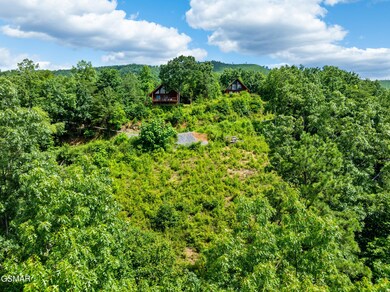 648 Almost Heaven Way, Gatlinburg, TN 37738 - photo 3