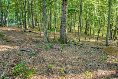 8 S Ridgeline Rd, Cullowhee, NC 28723 - photo 2