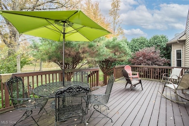 630 Rundle St, Lagrange, OH 44050 - photo 4