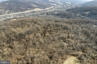 LOT 3 Old Orchard Rd, Happy Creek, VA 22642 - photo 7