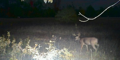 VL 45th Ave, Barryton, MI 49305 - photo 4