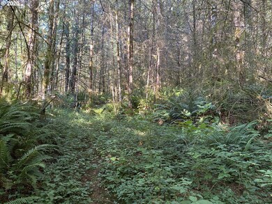 0 Germany Creek Rd unit 20119868, Longview, WA 98632 - photo 2