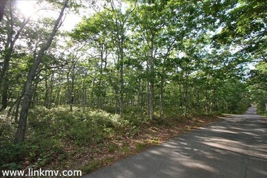 71,77, 79 Edgartown Vineyard Haven & 10 Gamba Rd, Oak Bluffs, MA 02557 - photo 3