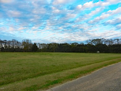 Field05