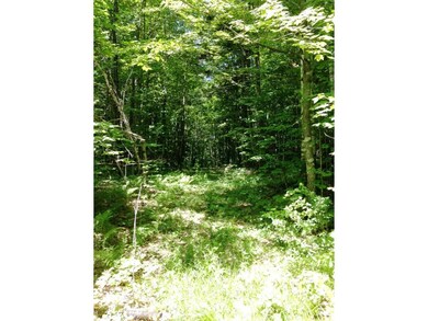 0 Miller Rd, Dalton, NH 03598 - photo 2