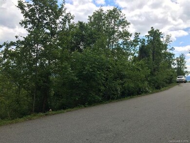 61 Ben Lippen School Rd unit 4, Asheville, NC 28806 - photo 3