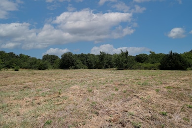 16.72AC Joe Allen Rd, Pilot Point, TX 76258 - photo 6