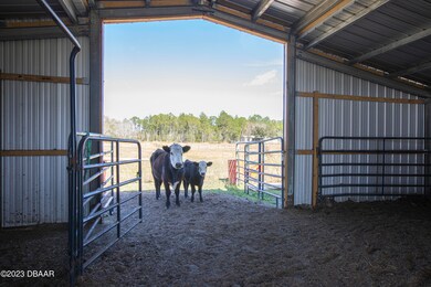 4568 Treebrook Rd, New Smyrna Beach, FL 32168 - photo 7