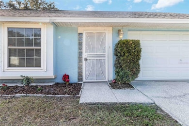 5101 Nashville Dr, Tampa, FL 33624 - photo 5