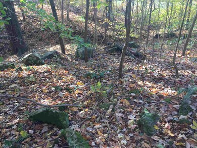 3580 S Old Clifty Rd, Bloomfield, IN 47424 - photo 5