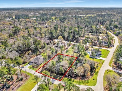 25210 Melanie Pointe, Tomball, TX 77375 - photo 7