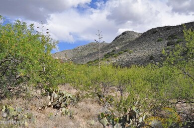 surrounding hills
