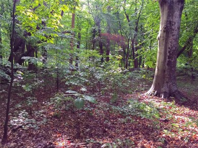 428 Westchester Rd, Statesville, NC 28625 - photo 7