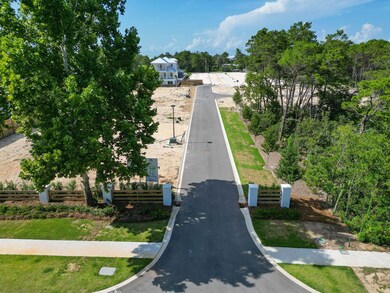 TBD Walton Palm Rd, Inlet Beach, FL 32461 - photo 6